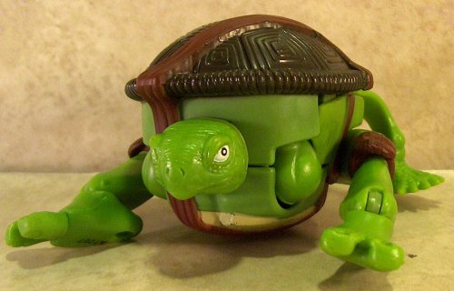 turtle front view (Leo)