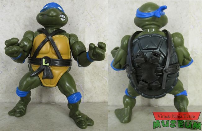 Leonardo front and back