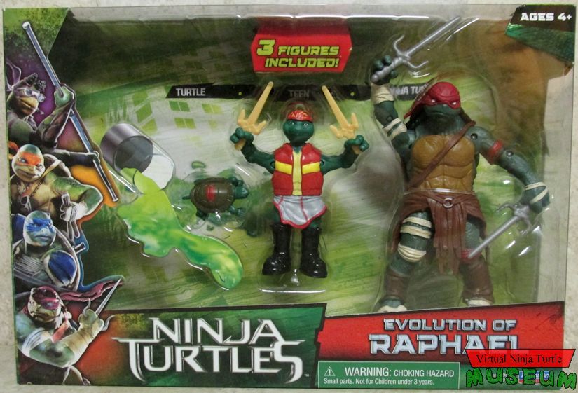 Evolution of Raphael box front