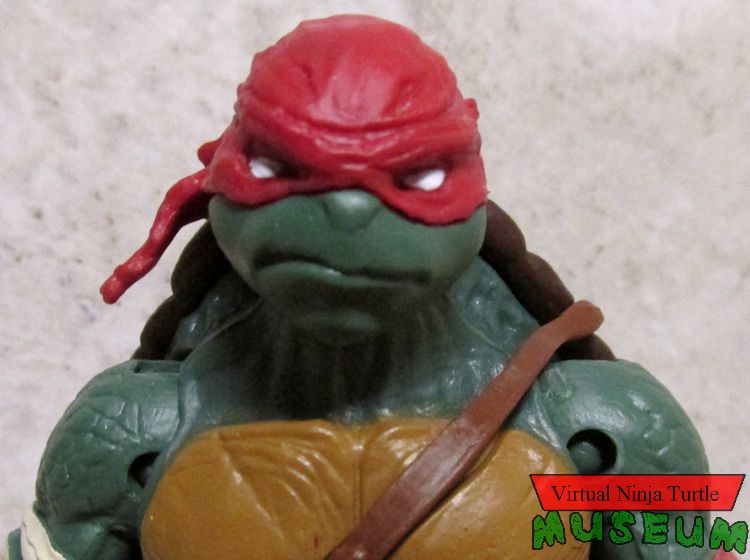 Evolution Raphael close up