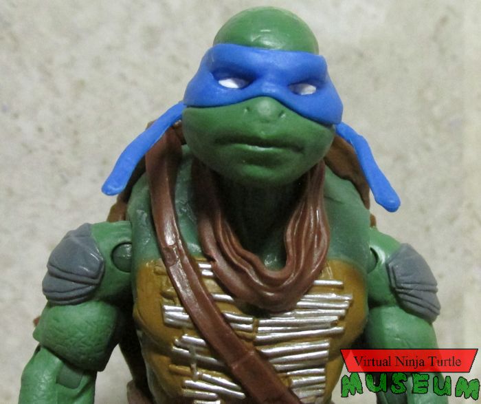 Evolution Leonardo close up