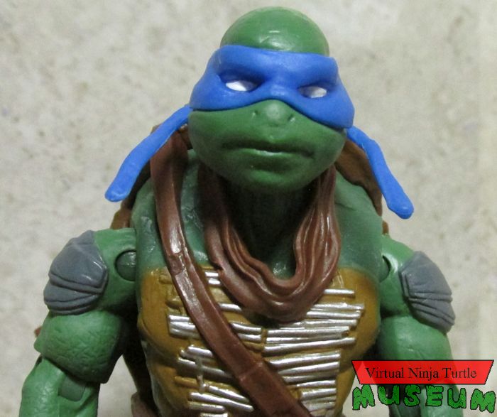 Evolution Leonardo close up