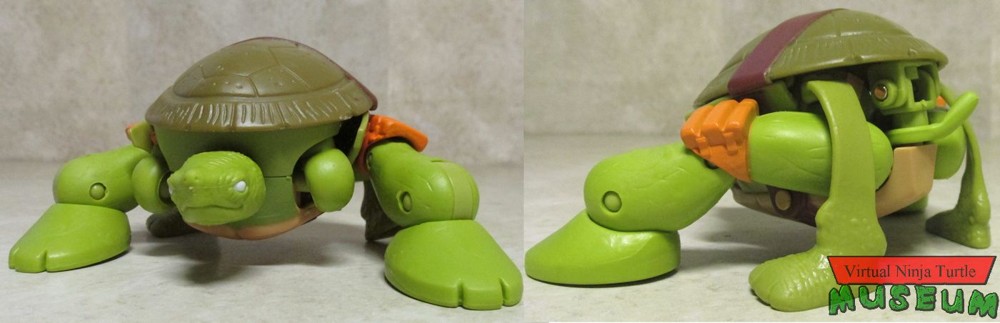 Pet Turtle form Michelangelo front and back