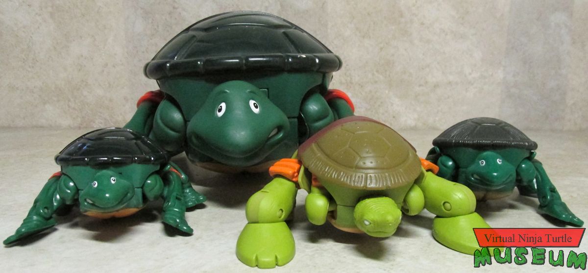 Mutating Michelangelos turtle forms