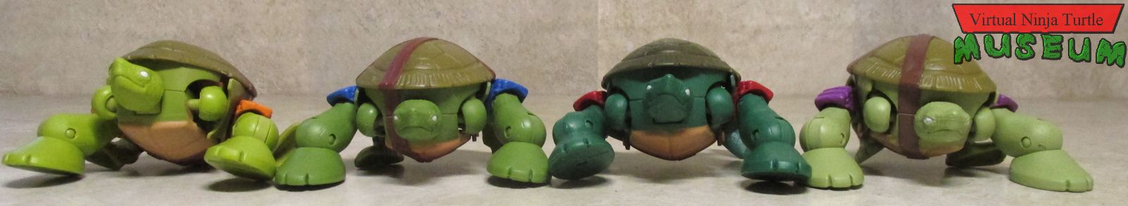 Pet Turtle forms