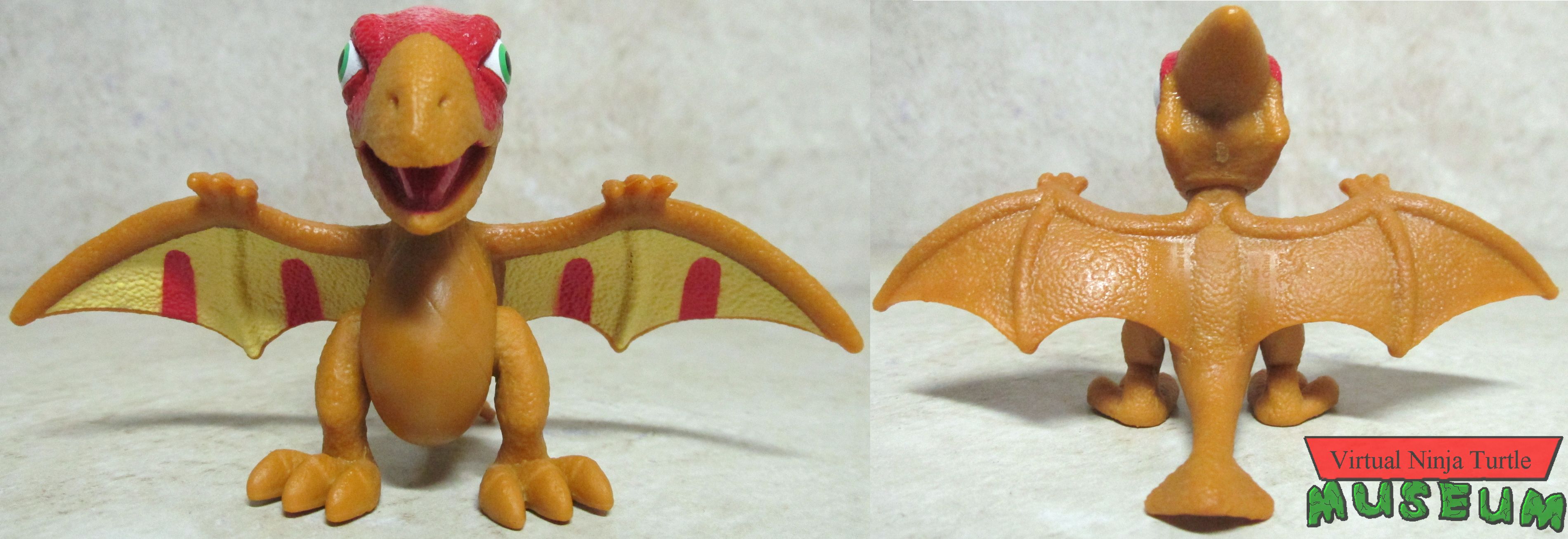 Pterodon front and back