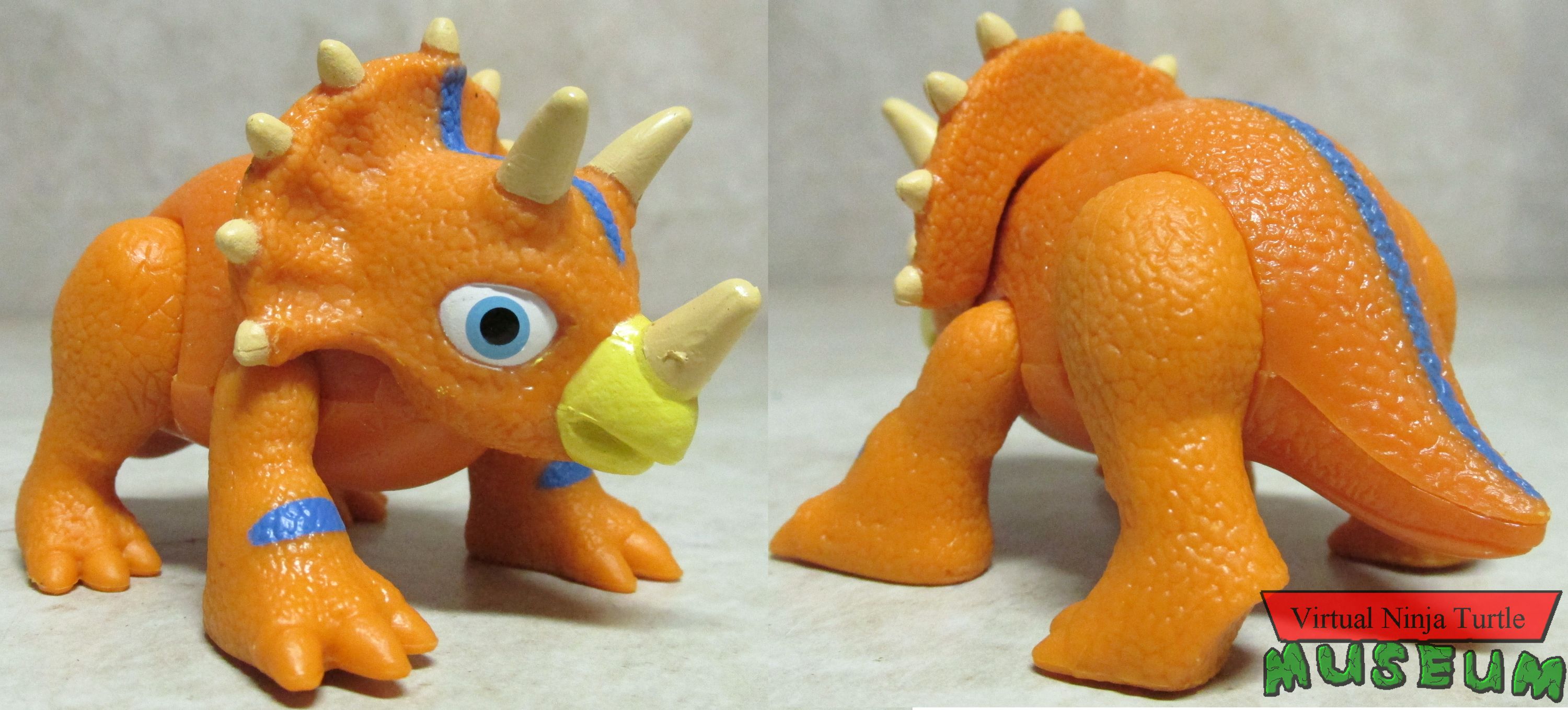 triceratops front and back