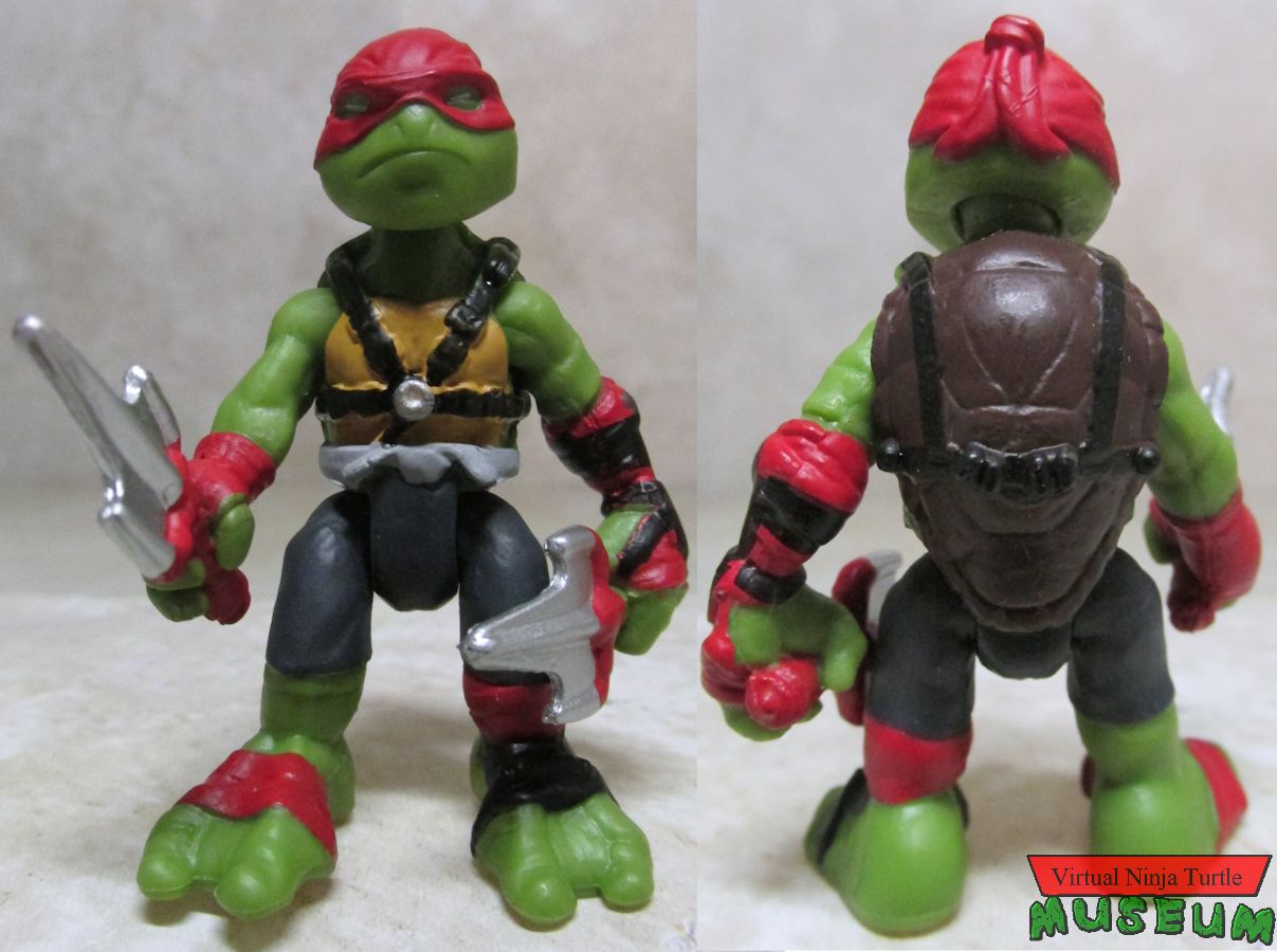 Out of the Shadows Raphael front and back