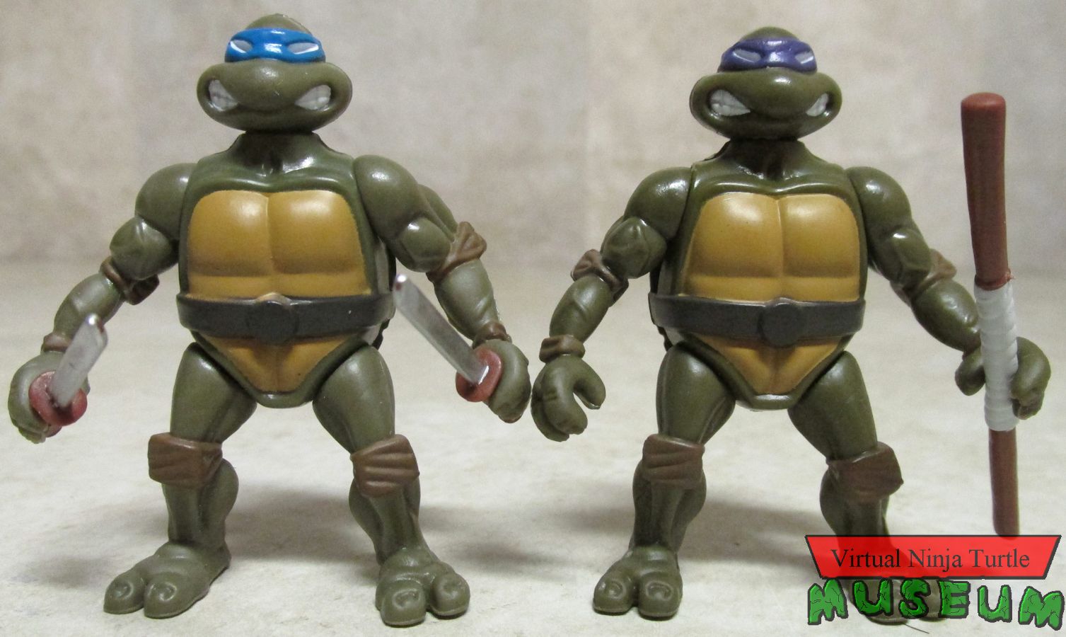 Donatello and Leonardo