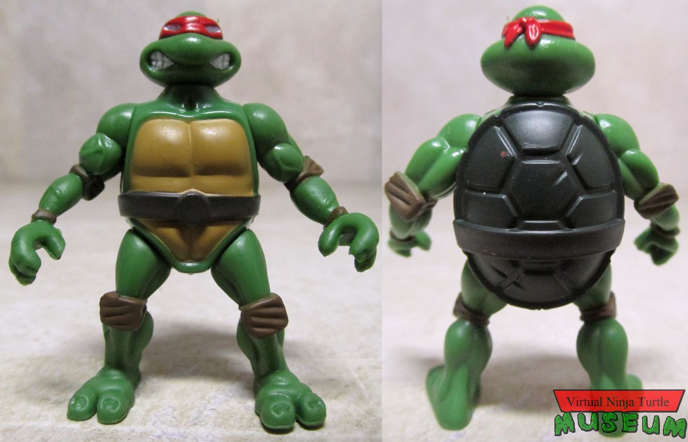 Raphael front and back