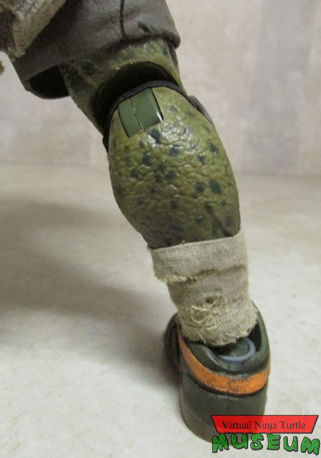 Michelangelo's knee joint