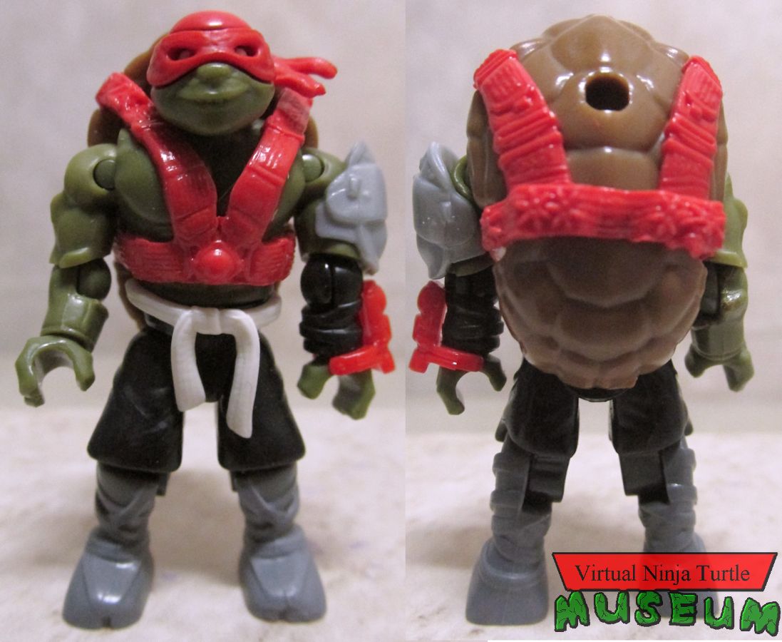 Raphael front and back