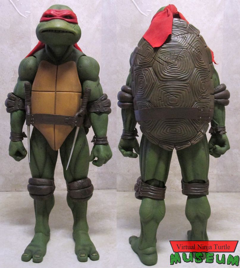 Raphael front and back