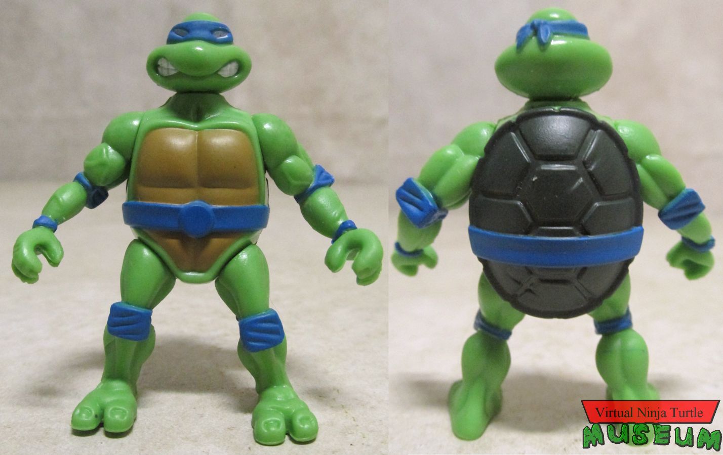 Leonardo front and back