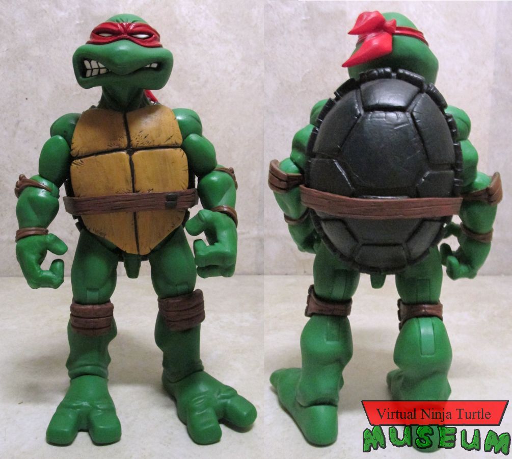 Raphael front and back
