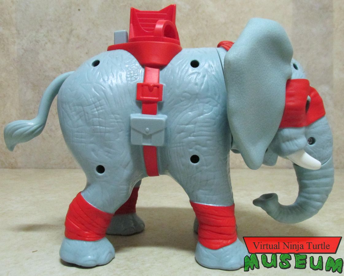 elephant's right side