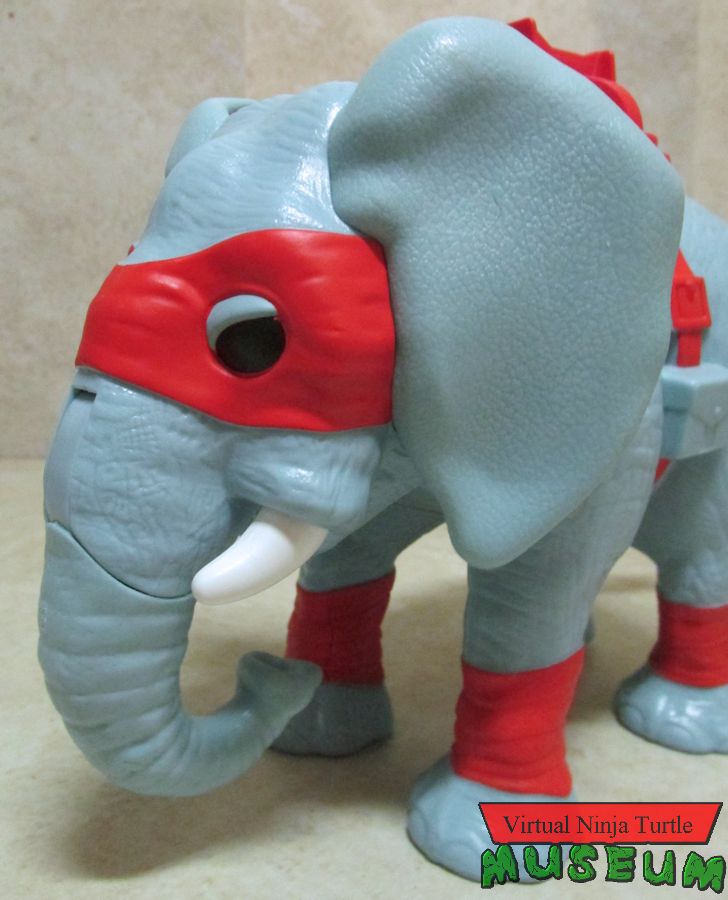 elephant's profile 