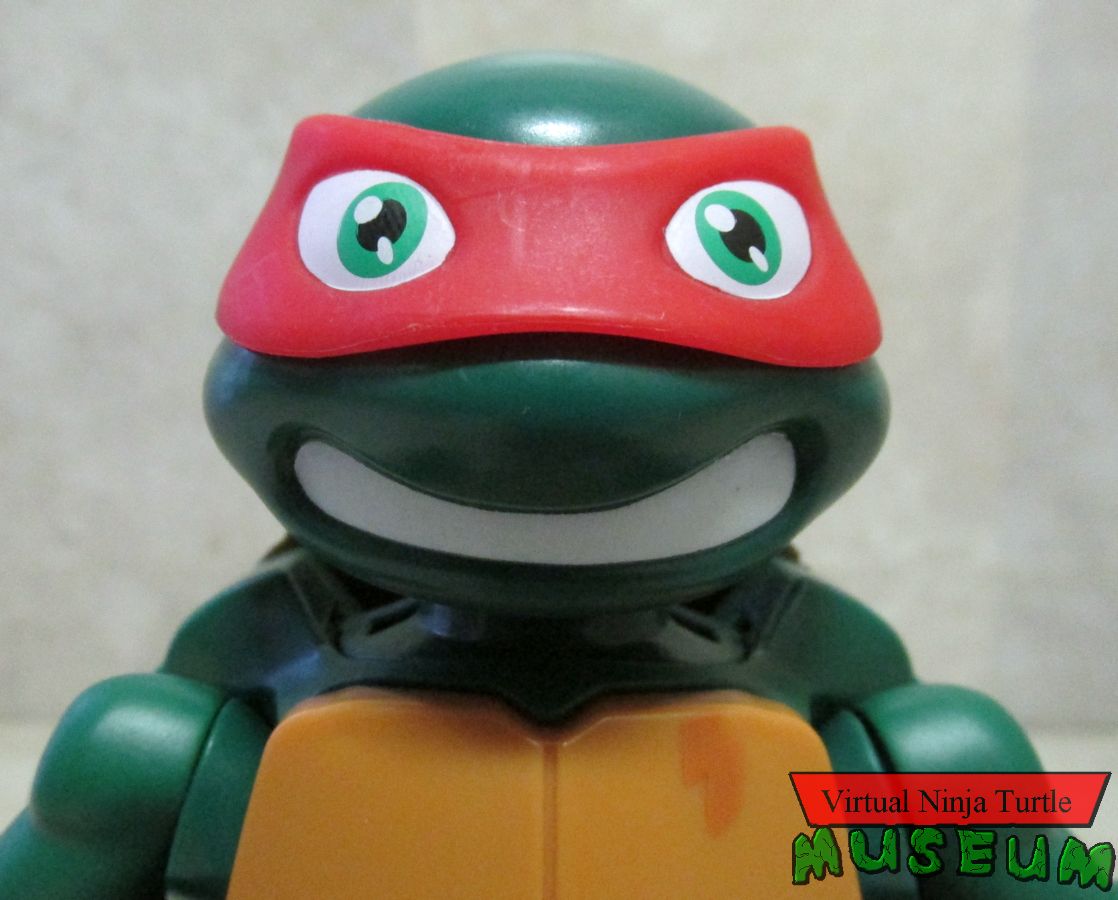 Pet to Ninja Raph close up