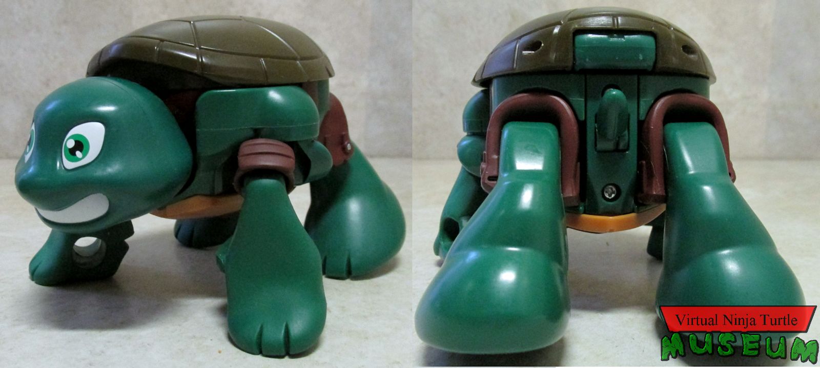 Pet to Ninja Raph turtle form front and back