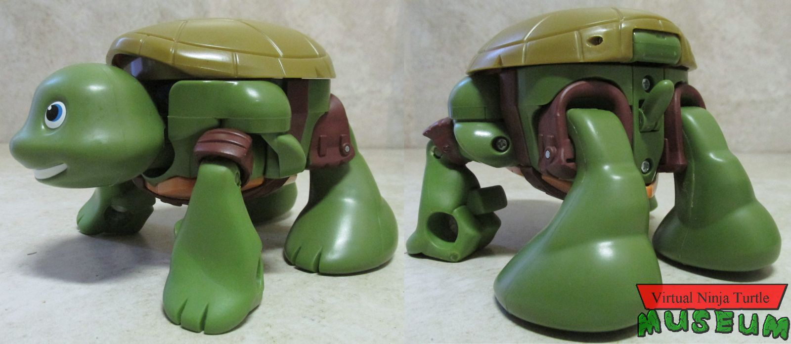 Pet to Ninja Leo turtle form front and back