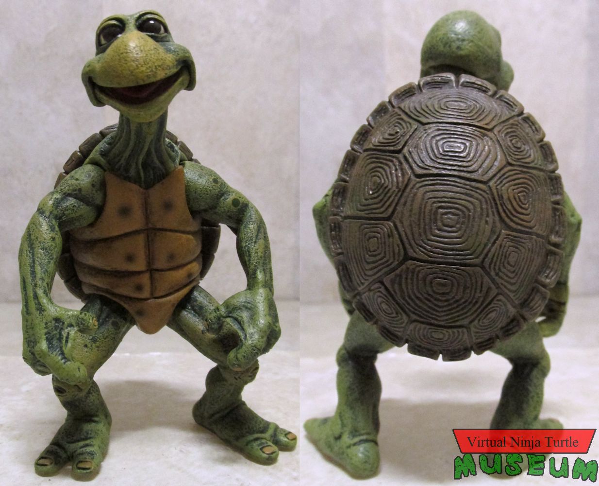 Baby Turtles front and back