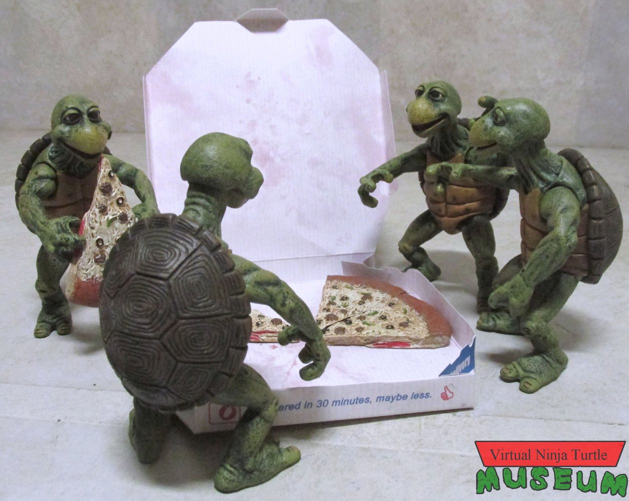 Baby Turtles with pizza