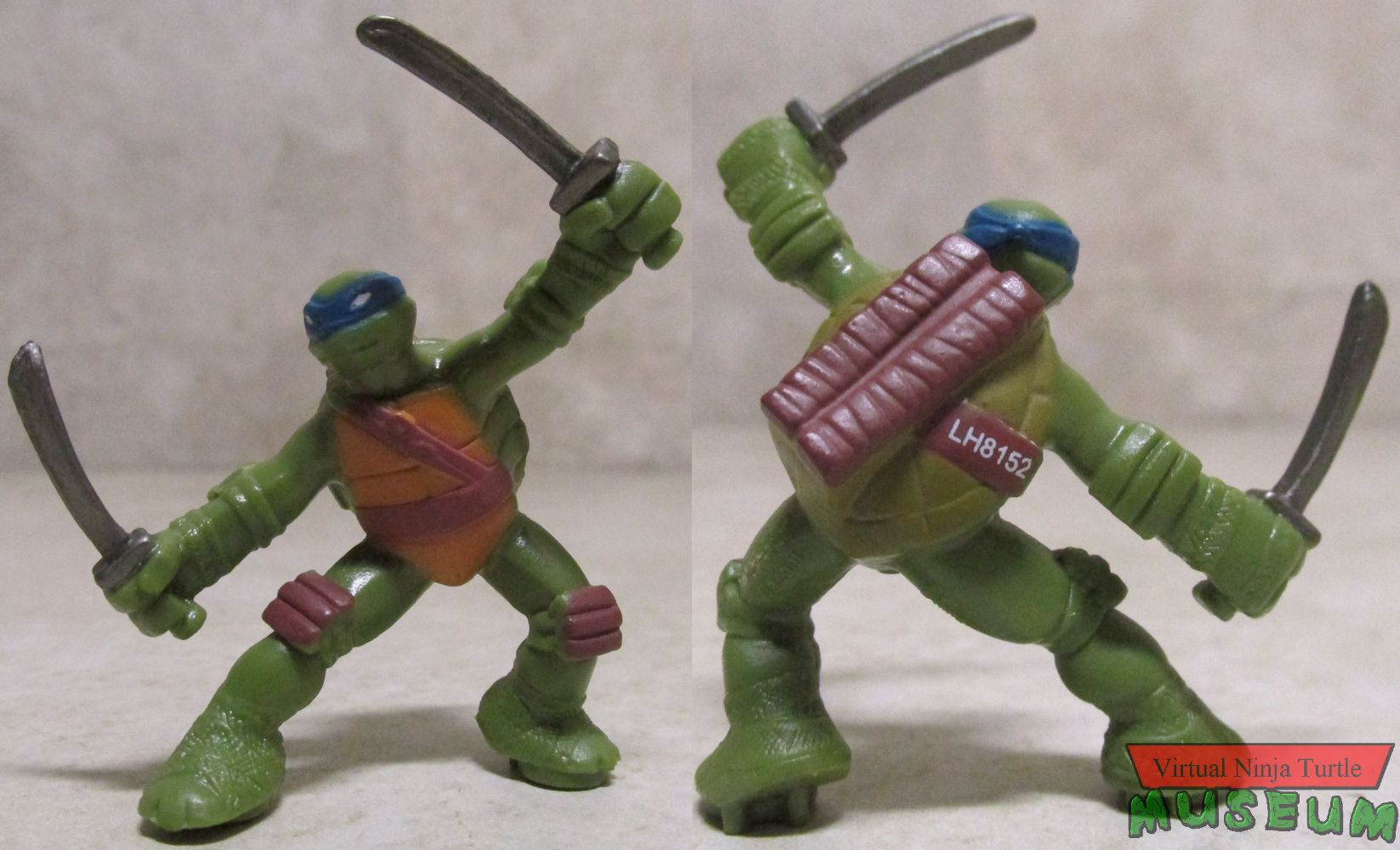 Leonardo front and back