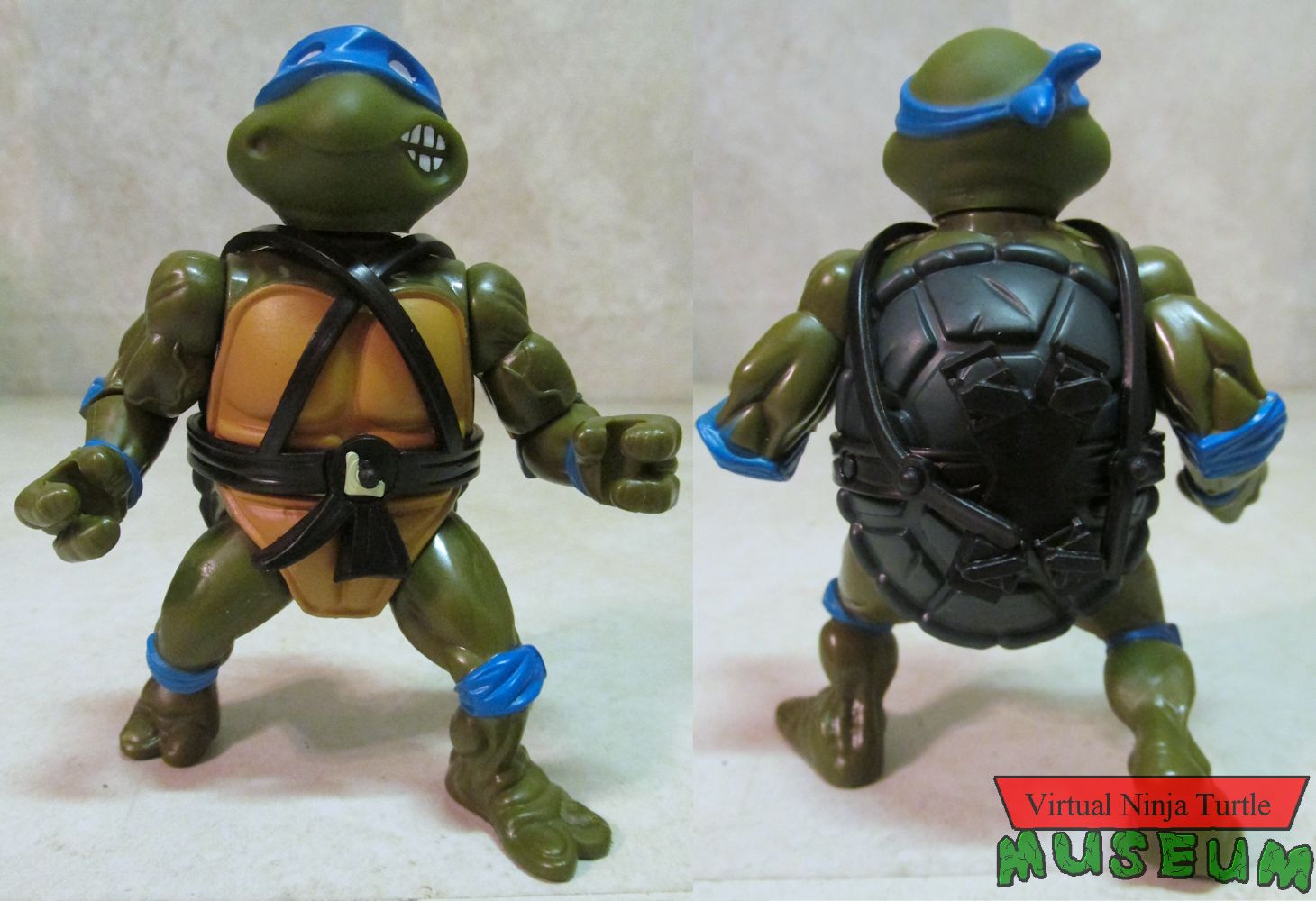 Leonardo front and back