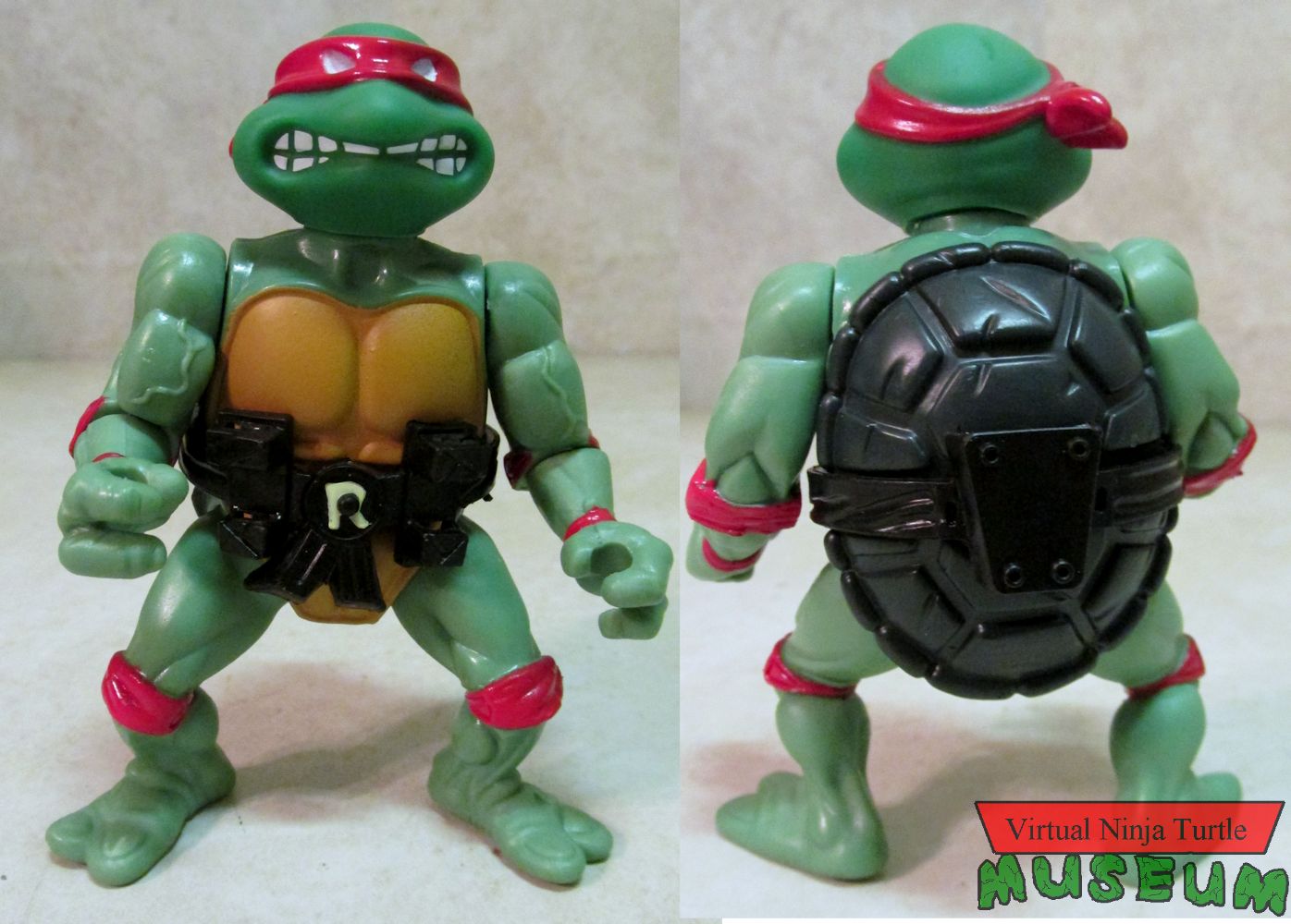 Raphael front and back