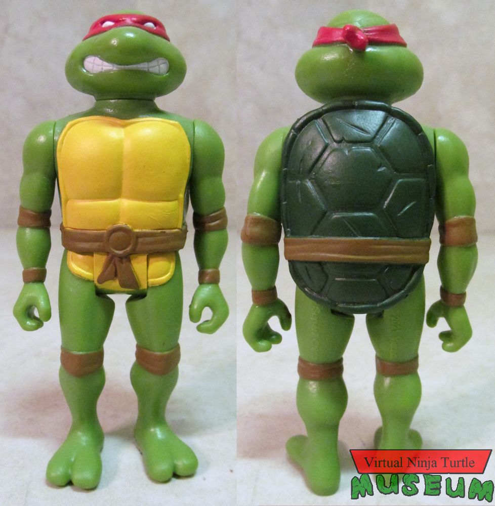 Raphael front and back