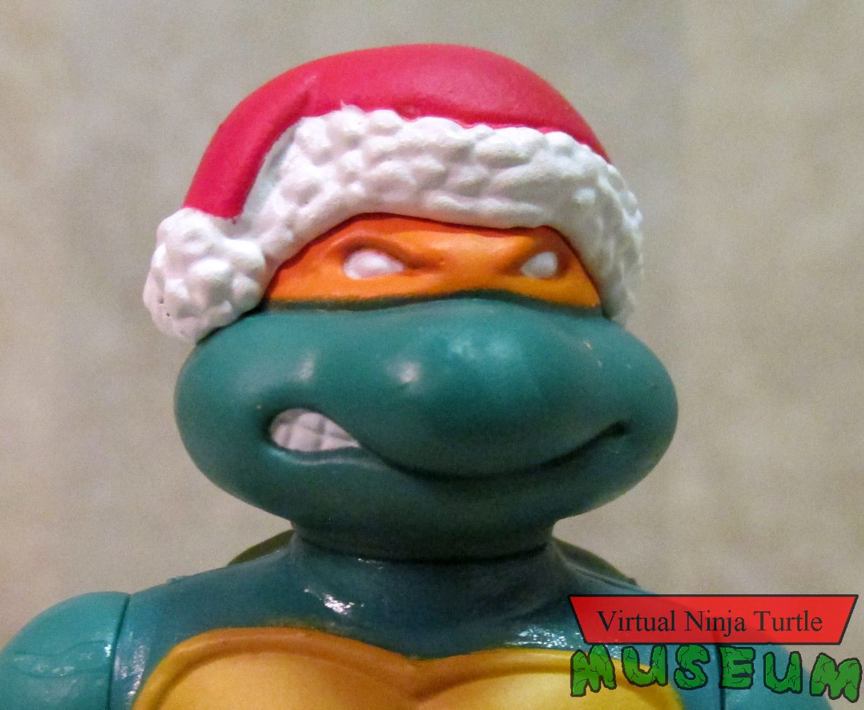 Michelangelo close up