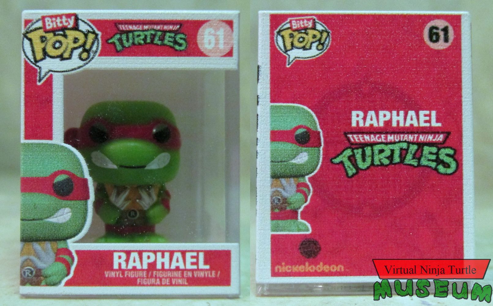 Raphael in case front and back