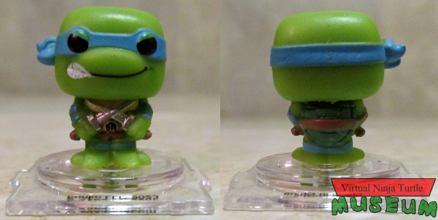 Leonardo front and back