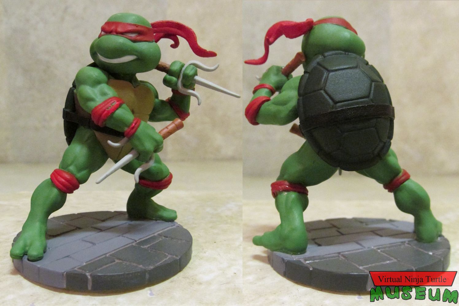 Raphael front and rear