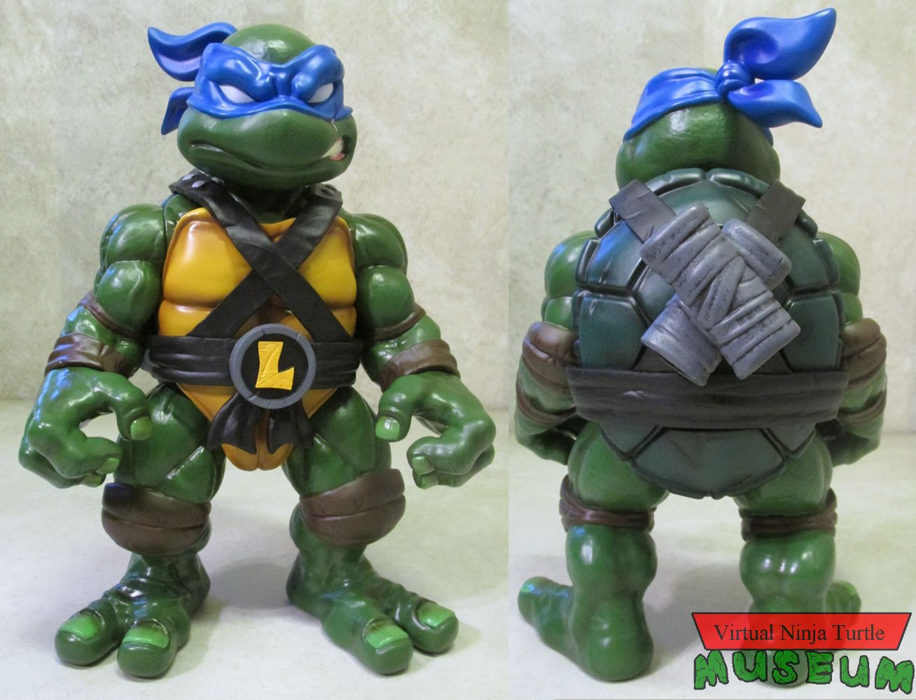 Leonardo front and back