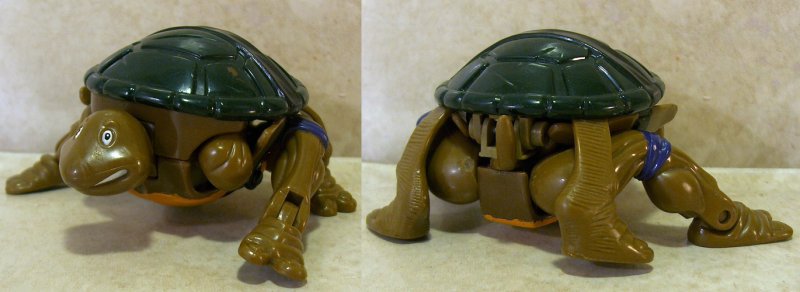 Mutated form