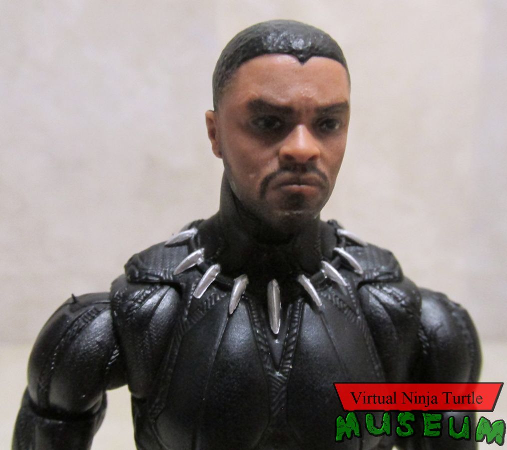 MCU Black Panther unmasked