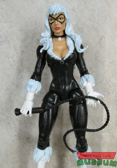 Black Cat with whip