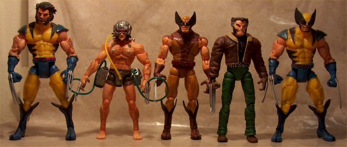 Wolverines