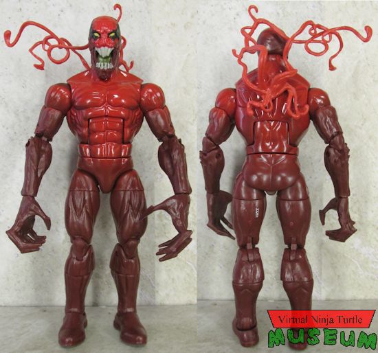 Toxin front and back