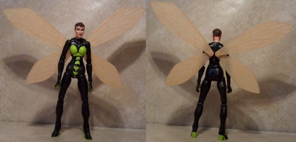 Wasp front & back