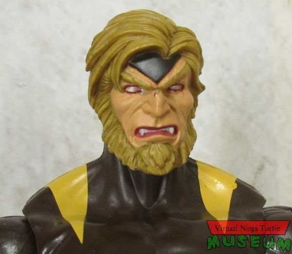 Sabretooth close up