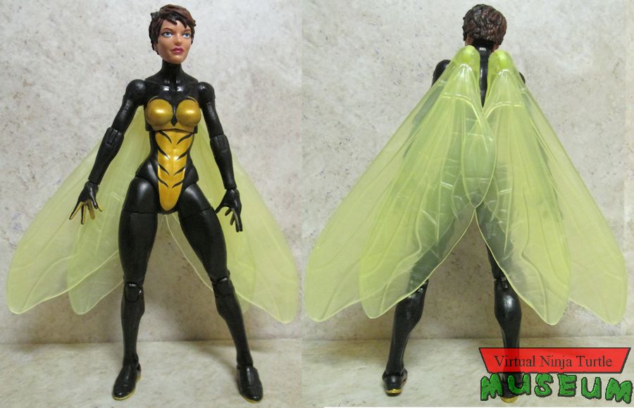 Wasp front and back