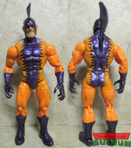 Tigershark front and back