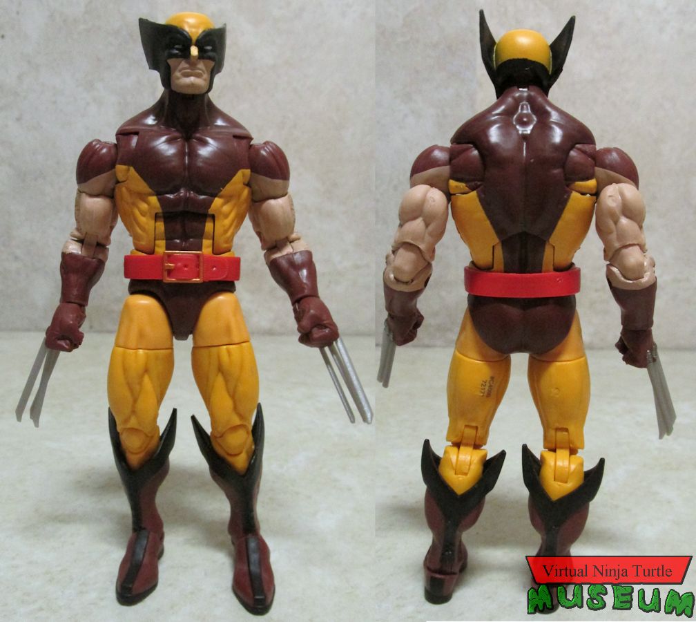 Wolverine front and back