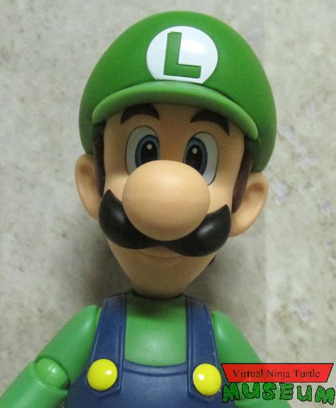 Luigi close up
