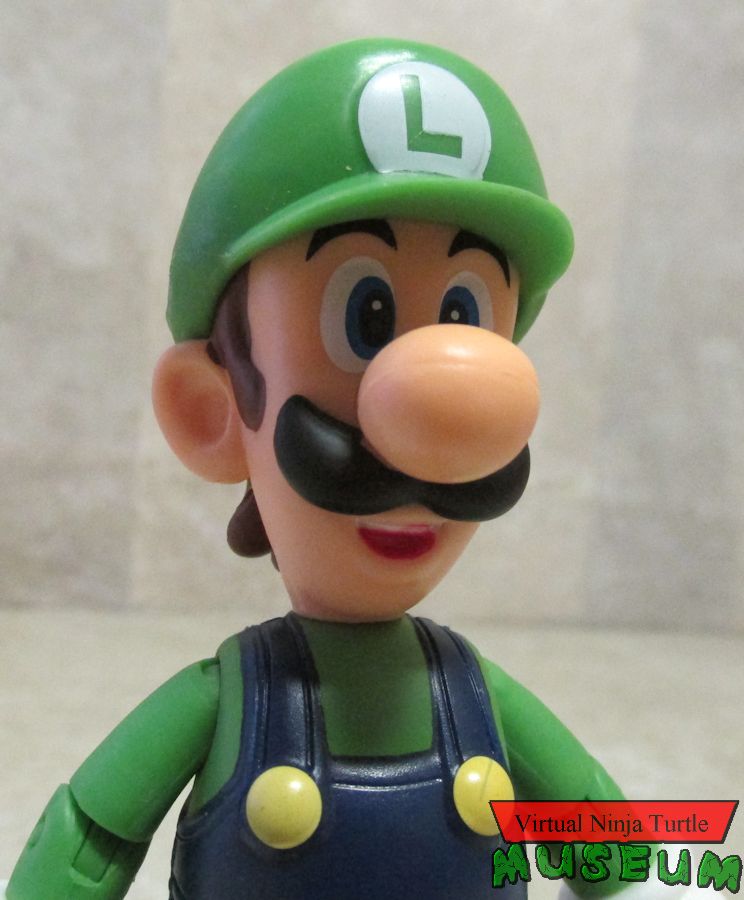 Luigi close up