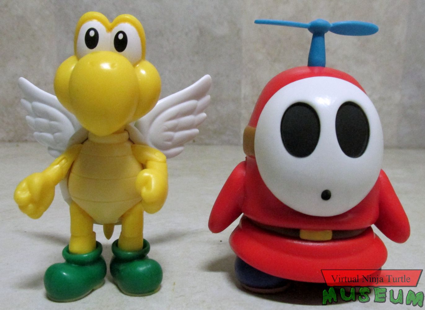 Koopa Troopa and Shy Guy front