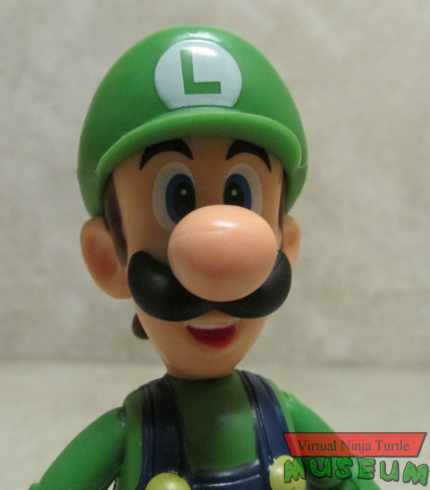 Luigi close up