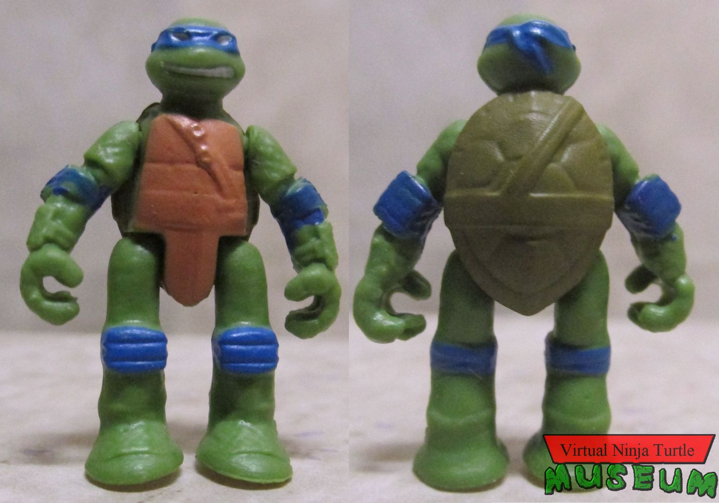 Leonardo front and back